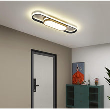 Load image into Gallery viewer, Modern LED Flush Mount Ceiling Lights Dimmable LED Ceiling Lamp with Remote Control Acrylic Linear Ceiling Lighting
