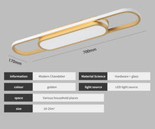 Load image into Gallery viewer, Ceiling Lights Modern LED Flush Mount Gold Acrylic Linear Chandelier 70cm