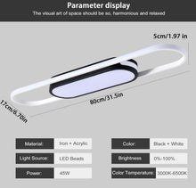 Load image into Gallery viewer, Modern LED Ceiling Light Linear Ceiling Lamp Black and White Flush Mount 80cm