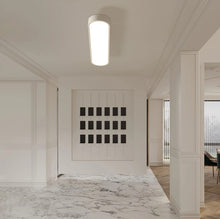 Load image into Gallery viewer, Flush Mount LED Ceiling Light Black/White with Remote Control 70cm Dimmable
