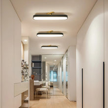 Load image into Gallery viewer, Flush Mount LED Ceiling Light Black/White with Remote Control 70cm Dimmable