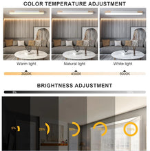Load image into Gallery viewer, Modern LED Ceiling Light Dimmable with Remote Control Oval Light Black/Gold 100cm
