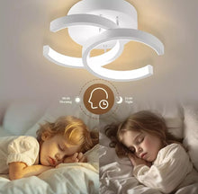 Load image into Gallery viewer, 2-Light LED Ceiling Lights Modern Flush Mount Ceiling Lamp Metal Ceiling Lighting Fixture for Living Black/White 18W