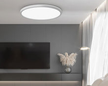 Load image into Gallery viewer, LED Dimmable Ceiling Light Modern Lamp with Remote Control White LED Flush Mount