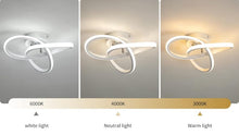Load image into Gallery viewer, Modern LED Ceiling Light Ceiling Lamp Flower for Bedroom Living Room, Bathroom, Kitchen, Hallway, Balcony 28cm 3 Color Lights
