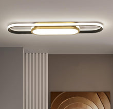 Load image into Gallery viewer, Modern LED Flush Mount Ceiling Lights Dimmable LED Ceiling Lamp with Remote Control Acrylic Linear Ceiling Lighting
