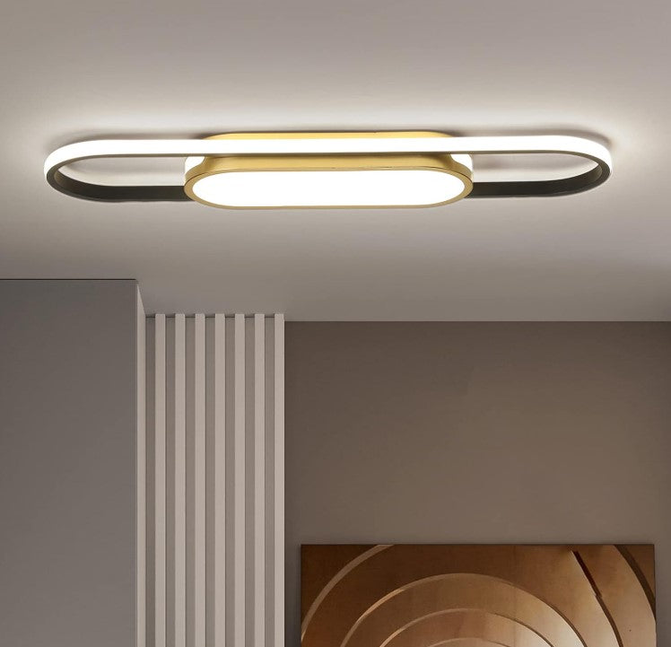 Modern LED Flush Mount Ceiling Lights Dimmable LED Ceiling Lamp with Remote Control Acrylic Linear Ceiling Lighting