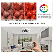 Load image into Gallery viewer, Modern LED Ceiling Lamp Dimmable Ceiling Lighting with Remote Control 3 Color Lights 53cm
