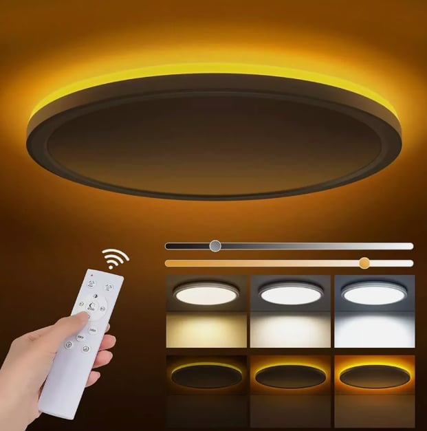 LED Dimmable Ceiling Light Modern Lamp with Remote Control White LED Flush Mount